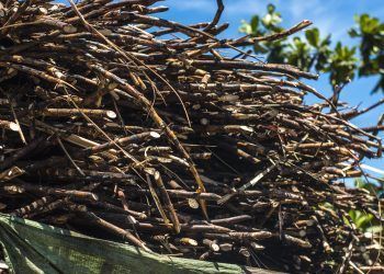 HEMAV lanza un nuevo proyecto de agricultura de precisión para Azucarera a través de Agroteo