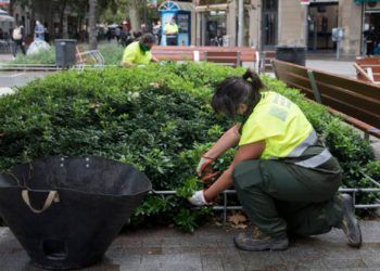 Barcelona activa un plan especial de mantenimiento de zonas verdes