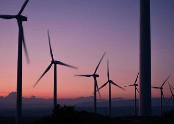 Capital Energy invertirá 100 millones de euros en proyectos renovables en la C. Valenciana