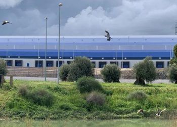 glp gbce edificacion logistica sostenible secto green building