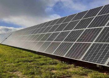 endesa plantas fotovoltaicas extremadura andalucia apicio beturia y nertobriga san antonio