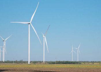 La eólica bate récord de producción en agosto en comparación con los últimos 5 años