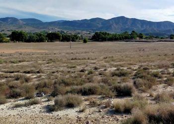 Producirá electricidad para el consumo anual de 12.500 hogares, evitando así la emisión a la atmósfera de más de 17.000 toneladas de CO2.