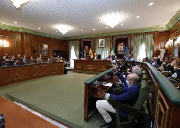 Marbella unanimidad la aprobación inicial del PGOM