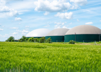 Aragón declara de interés autonómico tres proyectos de biometano promovidos por RIC Energy